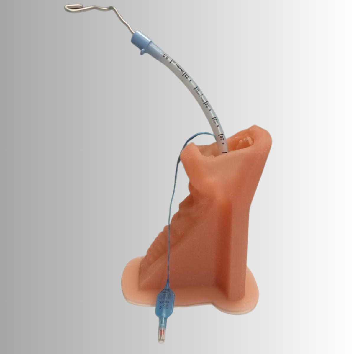 SILICONA DE ADICION CURADA CON PLATINO cuello
